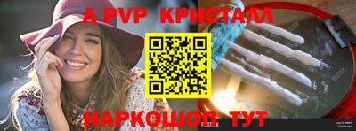твердый Кингисепп