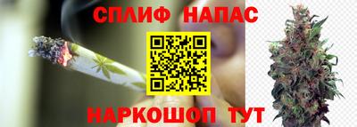 мдпв Кимры