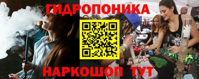 твердый Кингисепп