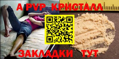 твердый Кингисепп